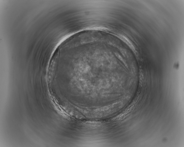 X0000094901044200712201130