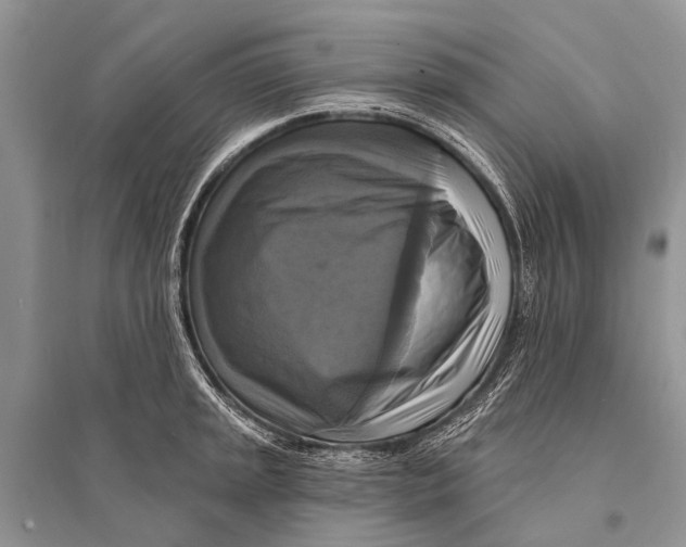 X0000094901045200712201130