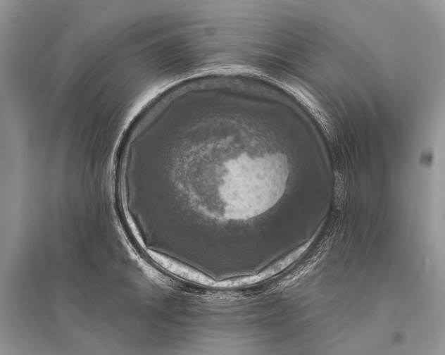 X0000094901046200712201130