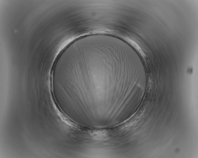 X0000094901047200712201130