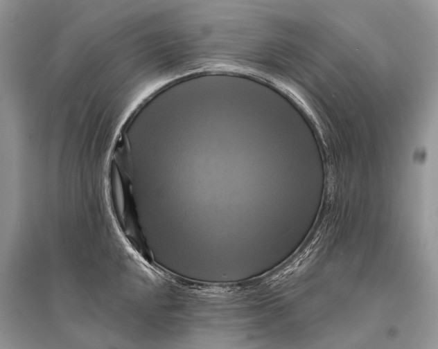 X0000094901048200712201130