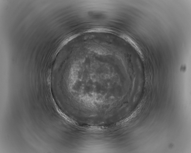 X0000094901049200712201130