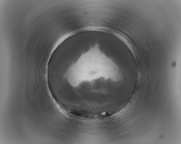 X0000094901050200712201130