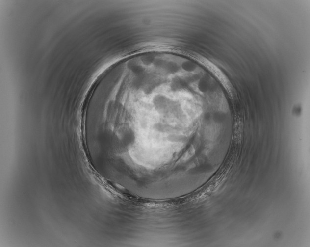 X0000094901051200712201130