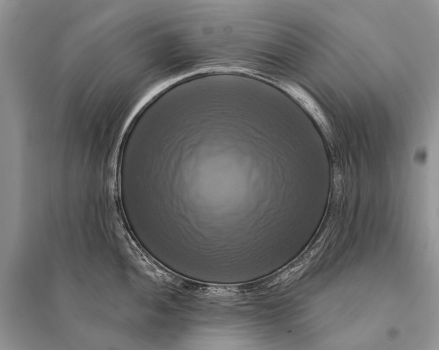 X0000094901052200712201130