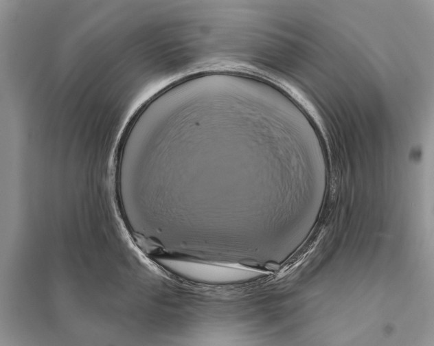 X0000094901053200712201130