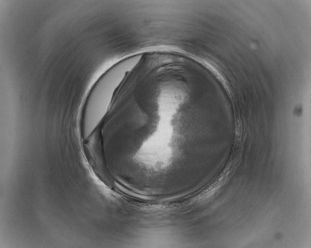 X0000094901054200712201130