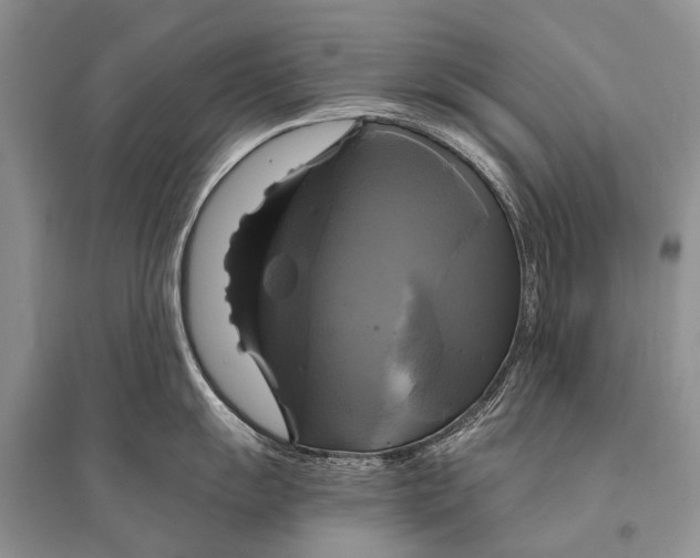 X0000094901055200712201130