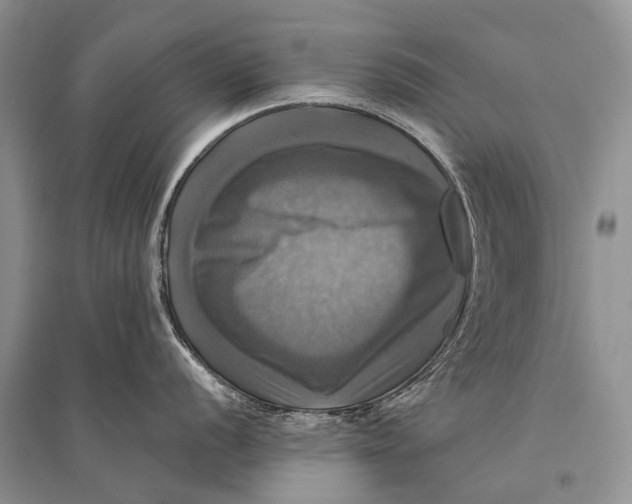 X0000094901056200712201130