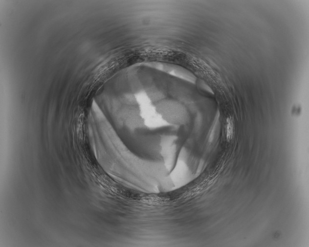 X0000094901059200712201129