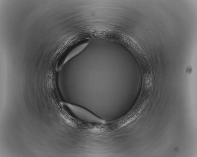 X0000094901060200712201129