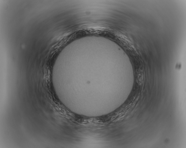 X0000094901061200712201129