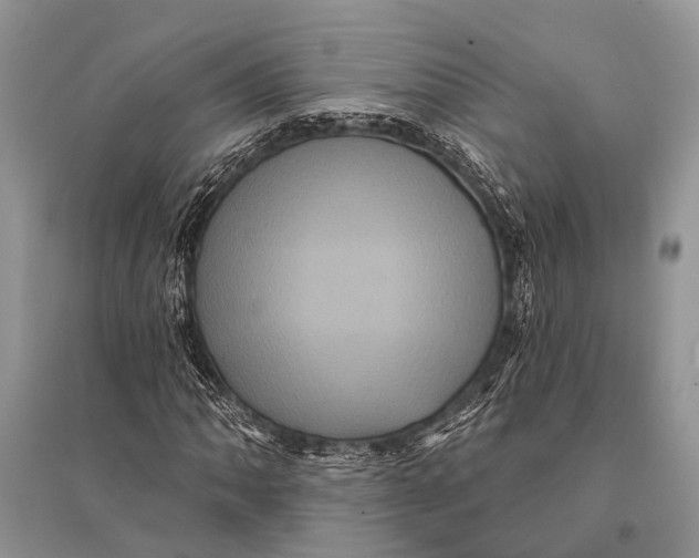 X0000094901062200712201129