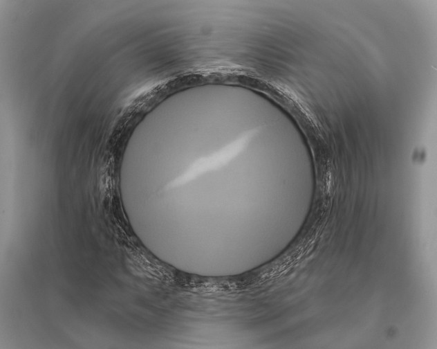 X0000094901063200712201129