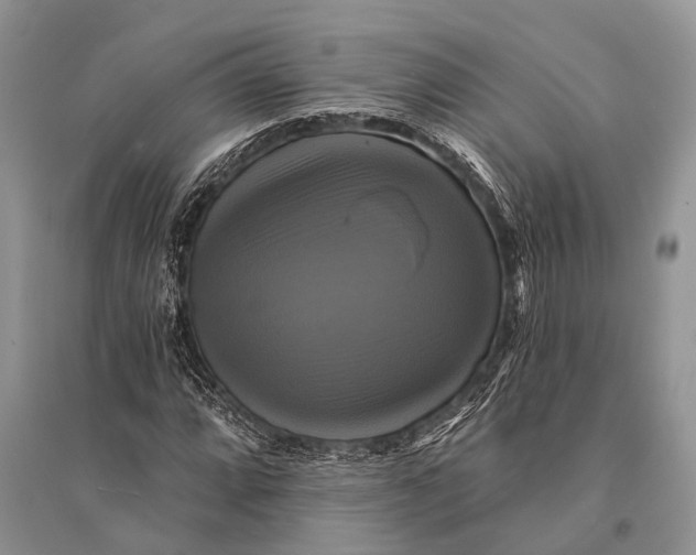 X0000094901064200712201129