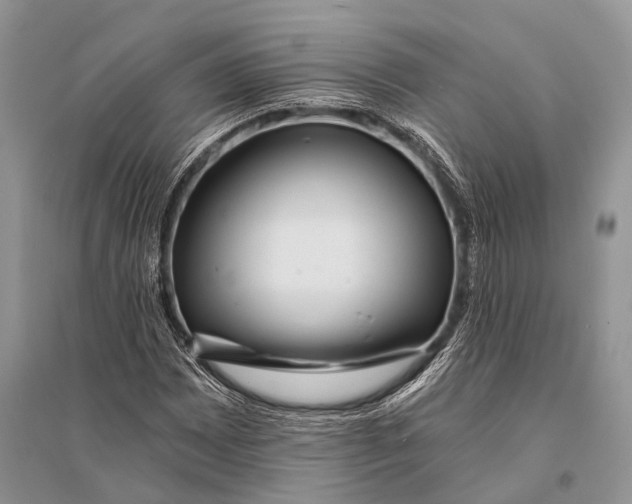 X0000094901065200712201129