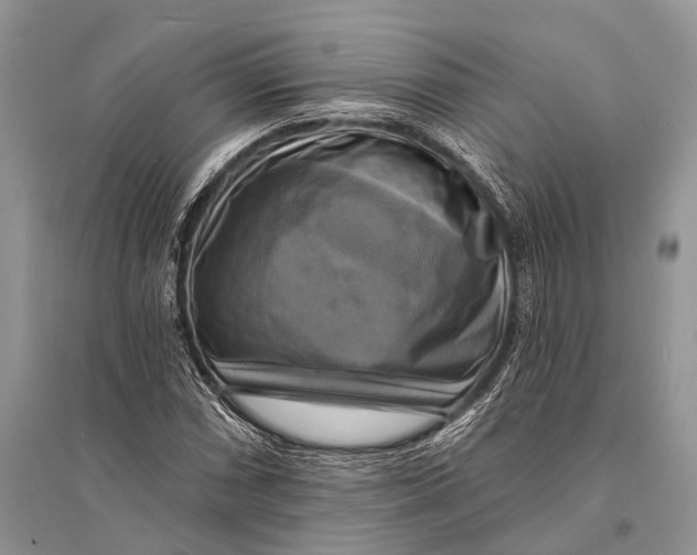 X0000094901066200712201129