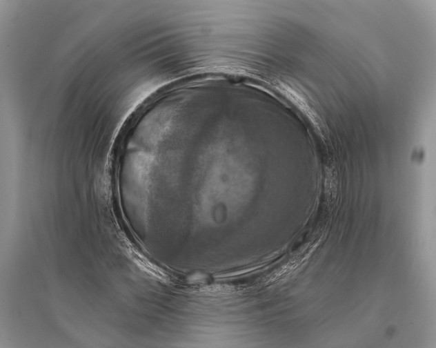 X0000094901068200712201129