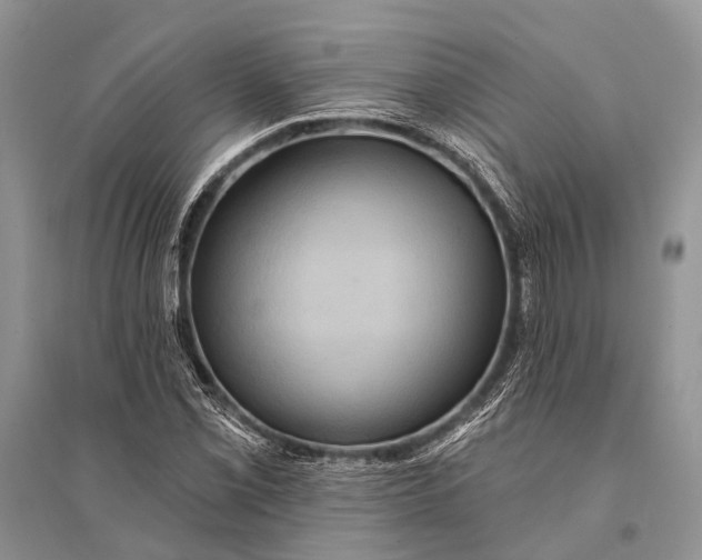 X0000094901069200712201129