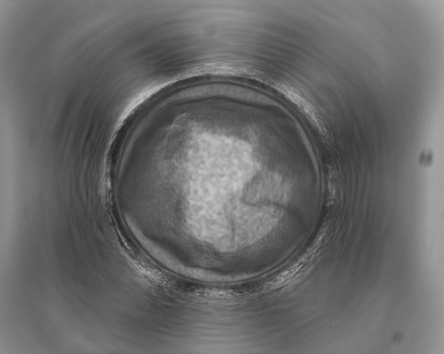 X0000094901070200712201129