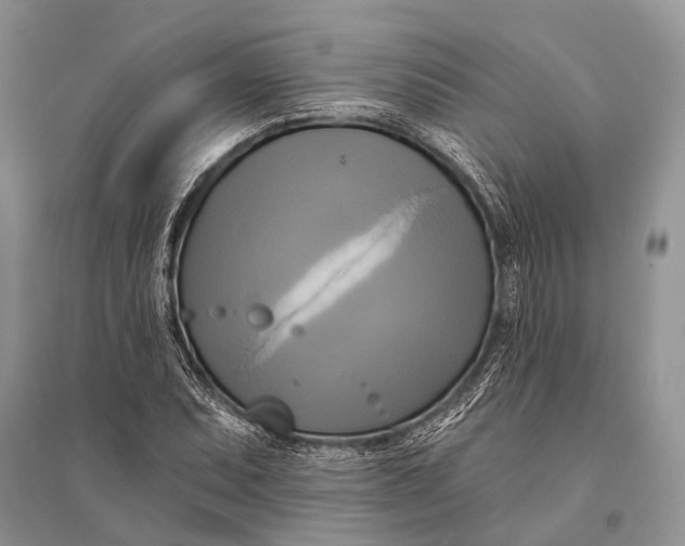 X0000094901071200712201129