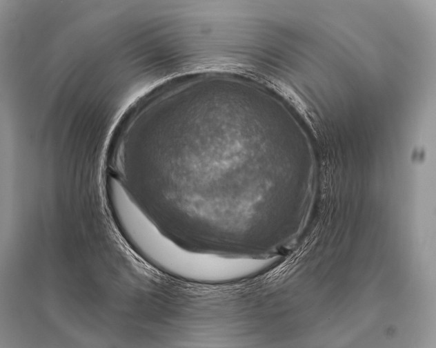 X0000094901072200712201129