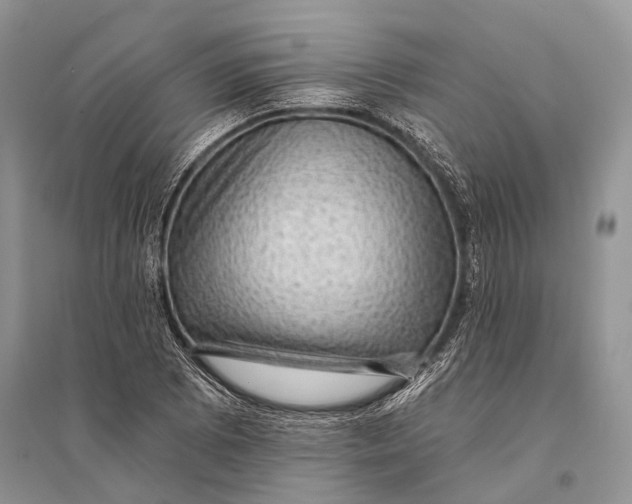 X0000094901073200712201129