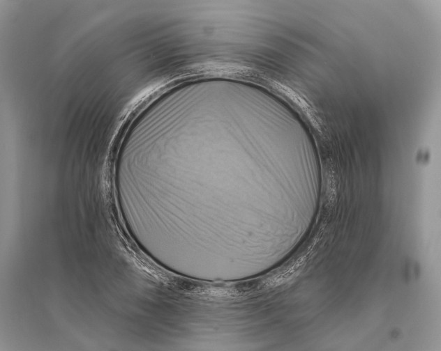 X0000094901074200712201129