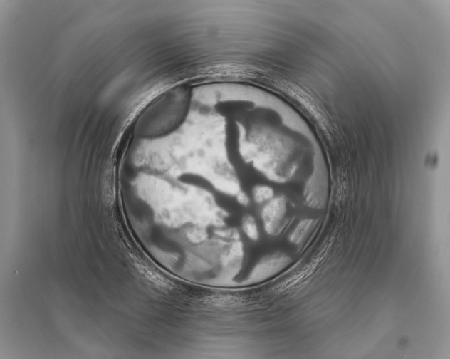 X0000094901075200712201129