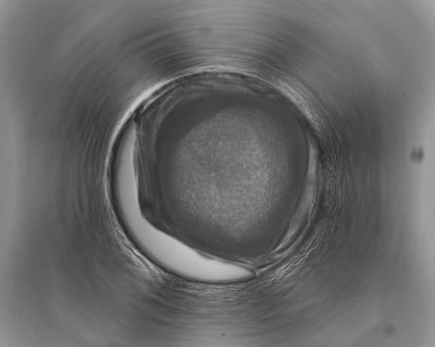 X0000094901076200712201129