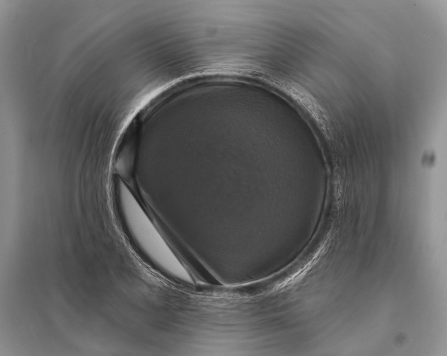 X0000094901077200712201129