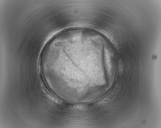 X0000094901078200712201129