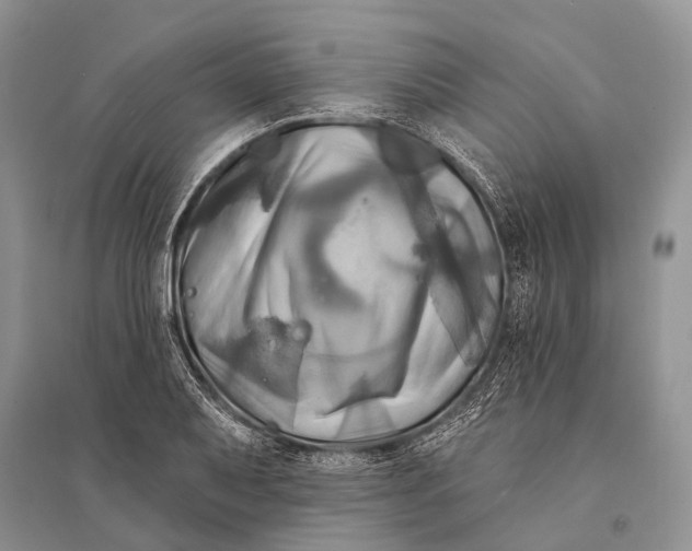 X0000094901079200712201129