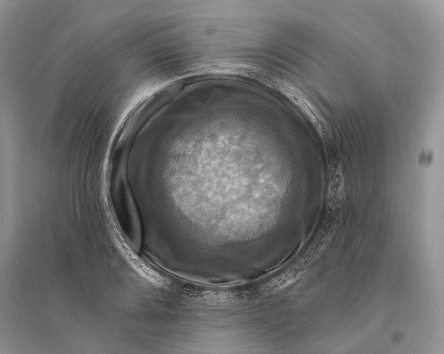 X0000094901080200712201129