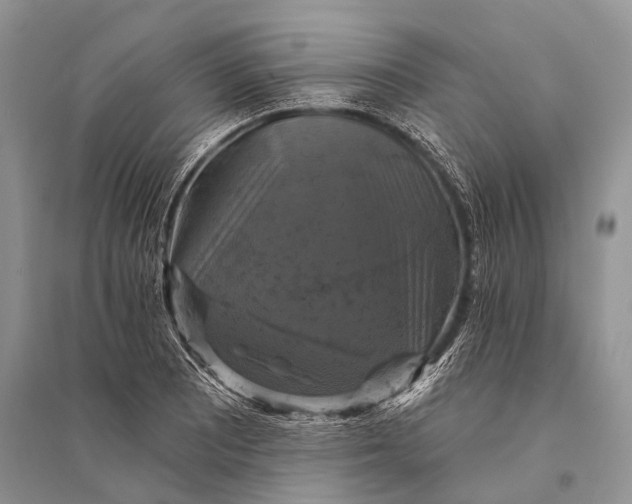 X0000094901081200712201129