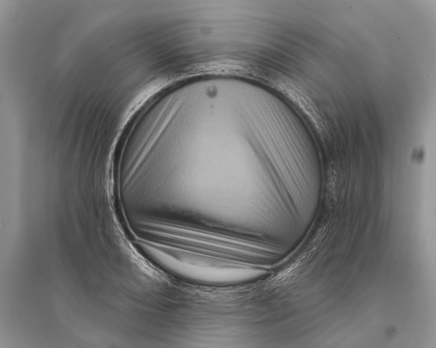 X0000094901082200712201129