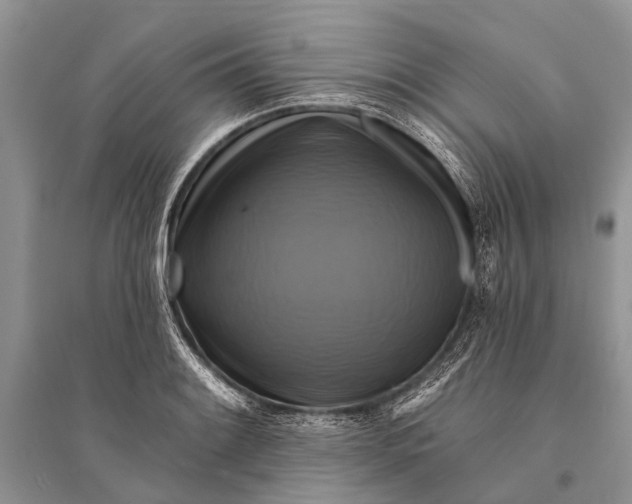 X0000094901084200712201129