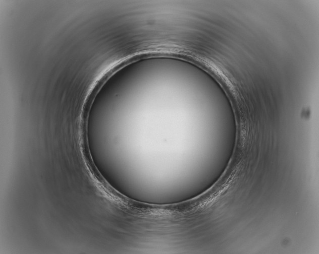 X0000094901085200712201129