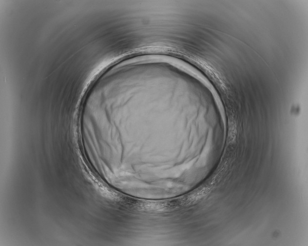 X0000094901086200712201129