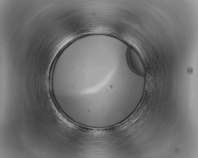 X0000094901087200712201129