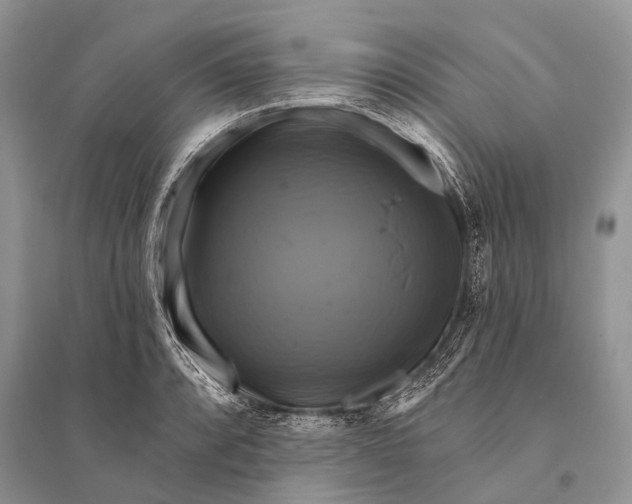 X0000094901088200712201129