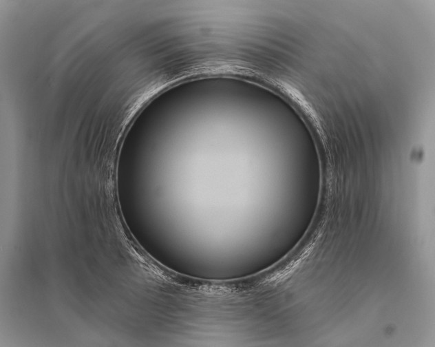 X0000094901089200712201129