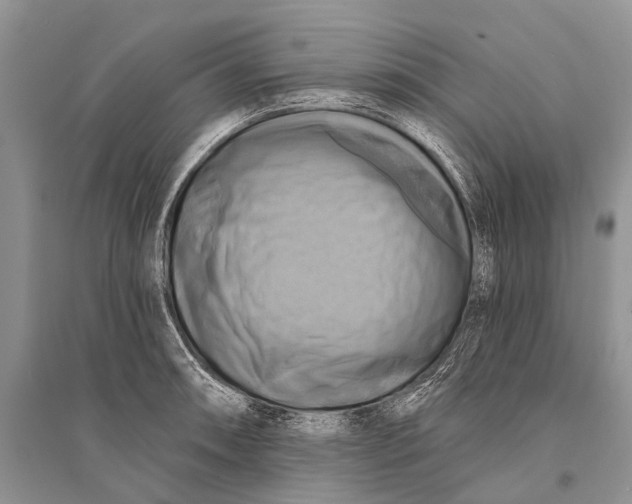 X0000094901090200712201129