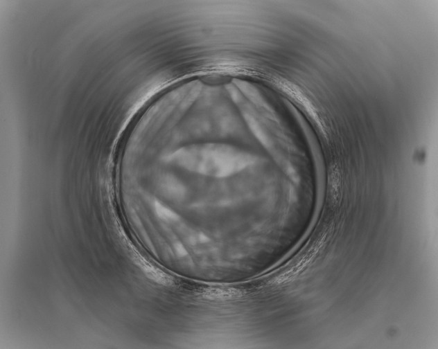 X0000094901091200712201129