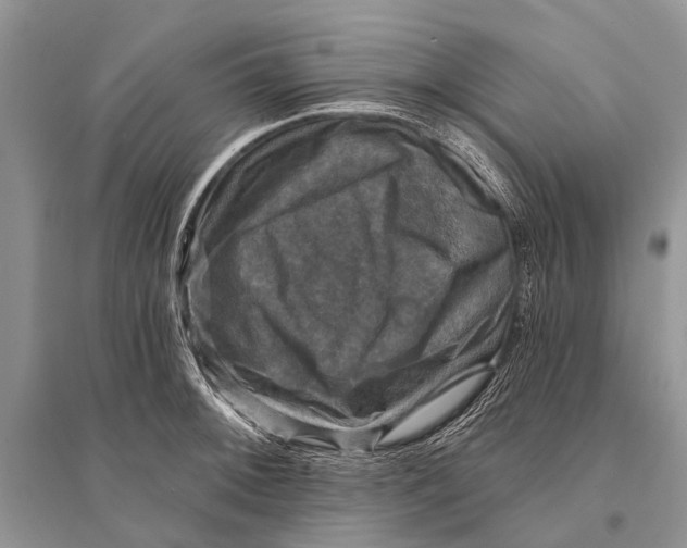 X0000094901092200712201129