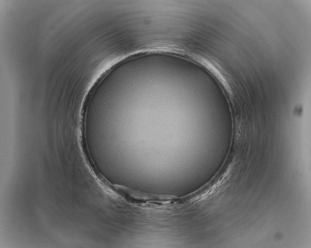 X0000094901093200712201129