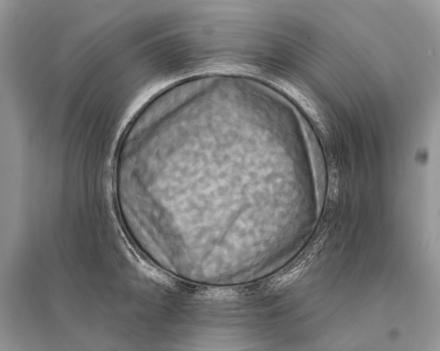 X0000094901094200712201129