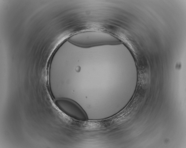 X0000094901095200712201129