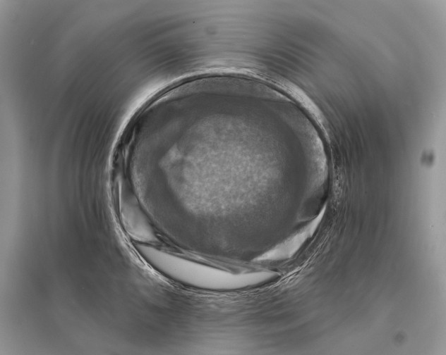 X0000094901096200712201129