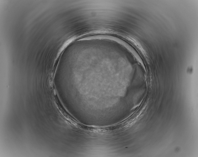 X0000094901097200712201129